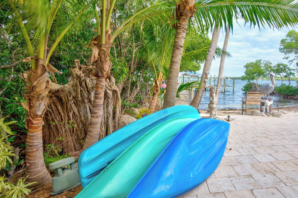Kayaks available for guests
