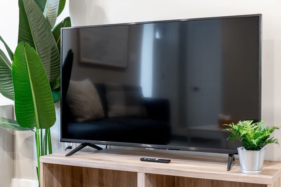 55inch chromecast TV with zen plant in the living room