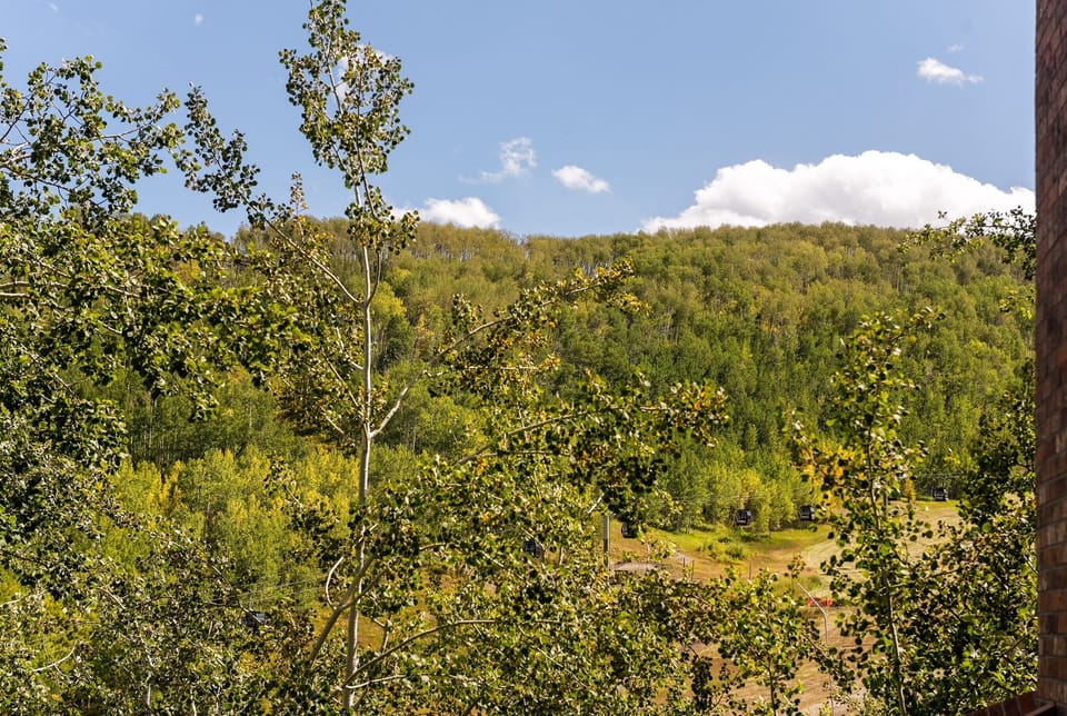 Tree, Field, Grassland, Nature, Outdoors