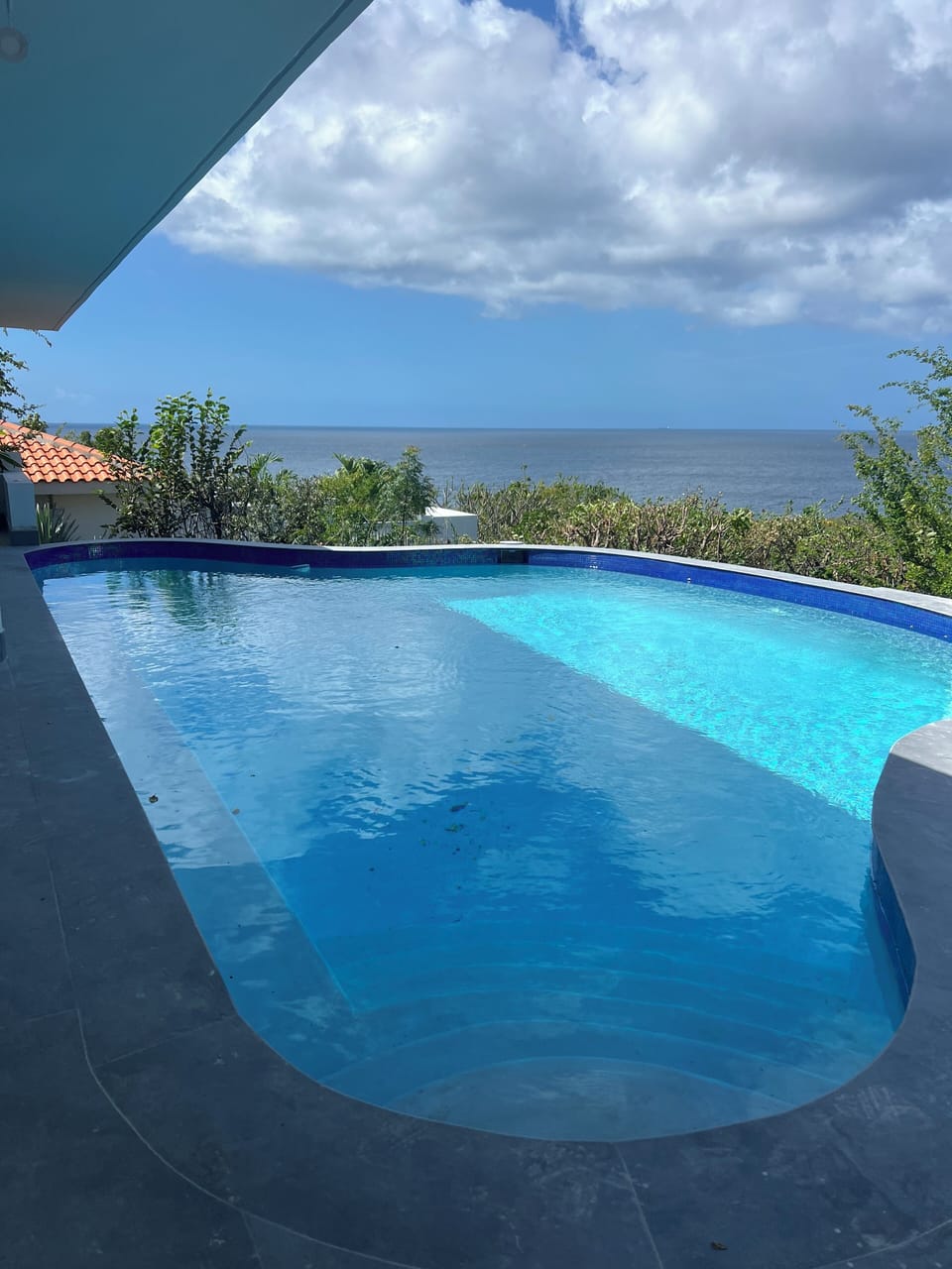 Large Infiniti pool over looking the ocean by the bbq area/Covered terrace