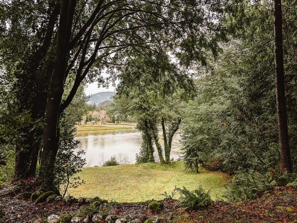 Wide open view of the Rogue River, right when you get out of your car