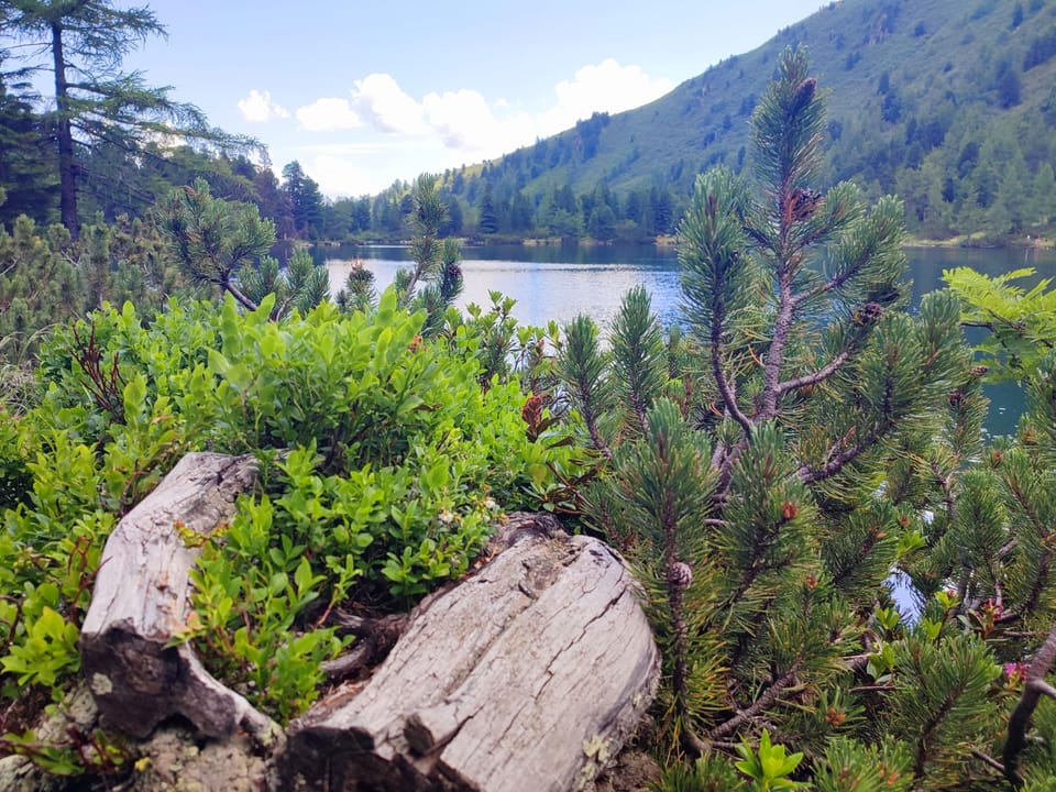 Surroundings [summer] (1-5 km)