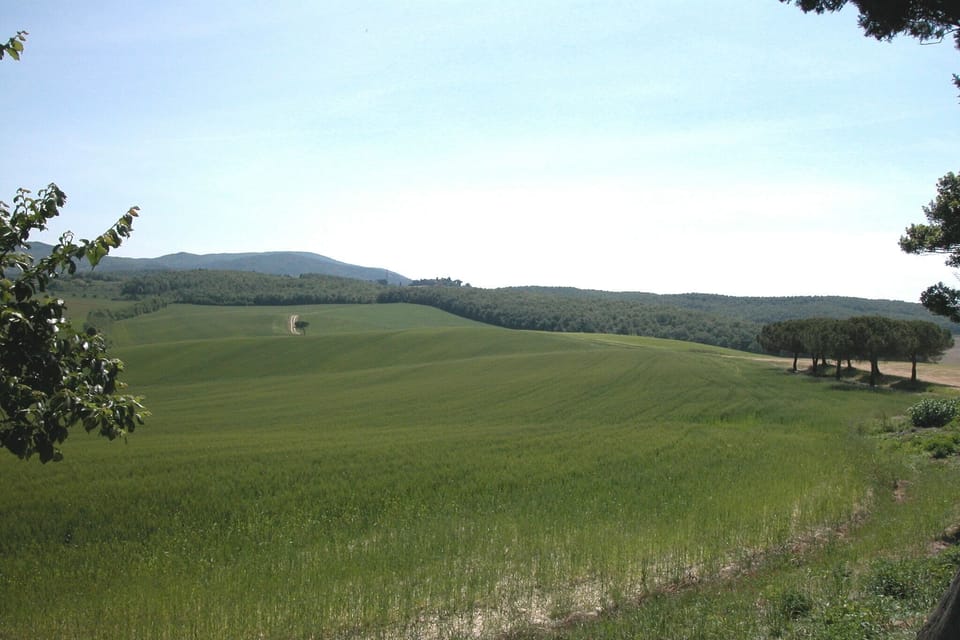 View from Holiday Home [summer]