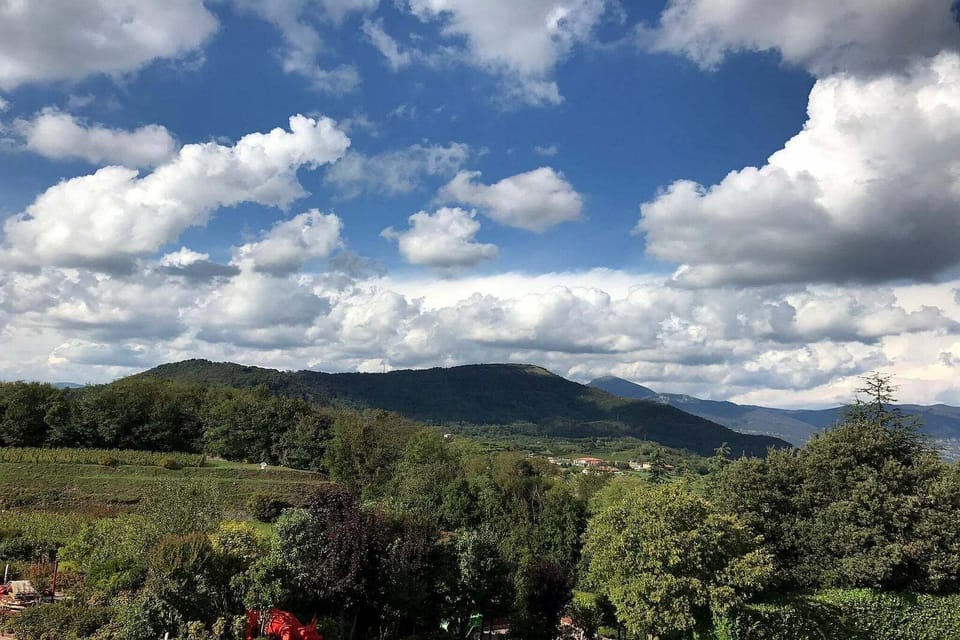 Surroundings [summer] (1-5 km)