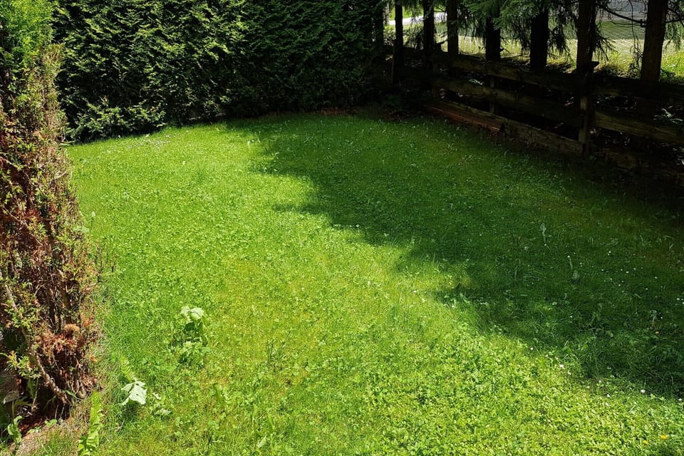 Garden [summer]