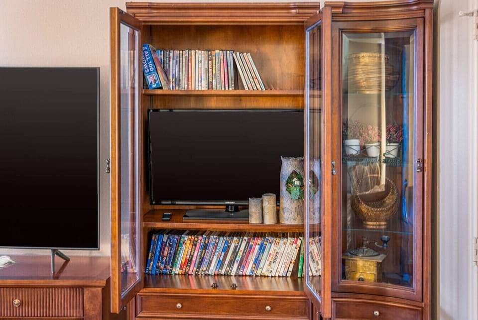 Entertainment center for endless fun