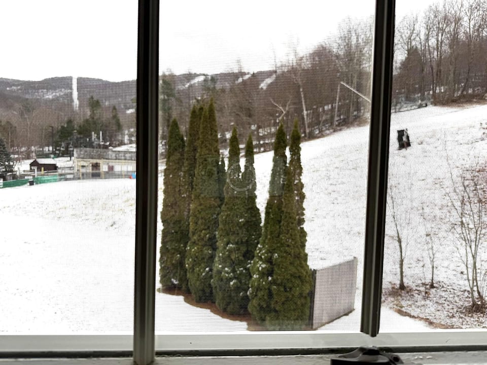 Mountain Facing, The View is AWESOME from your window!  Close to elevator and Lobby, but breathtaking and serene