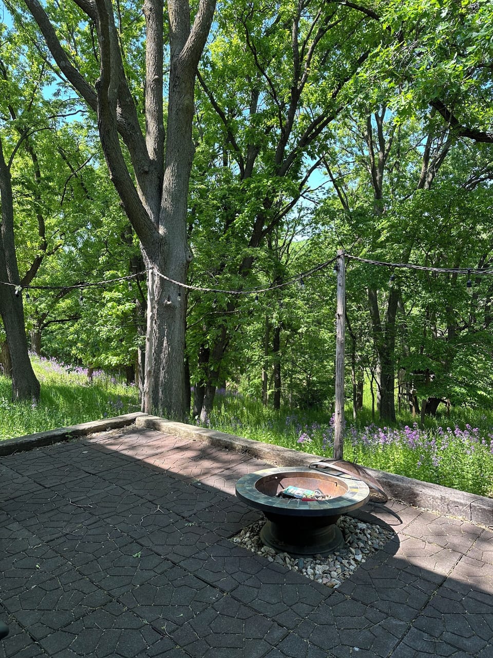 Fire pit and hot tub in back, also a hammock to relax in.