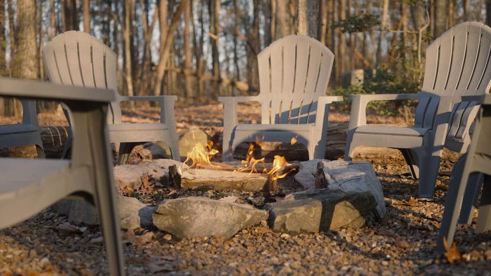 Firepit in the woods.