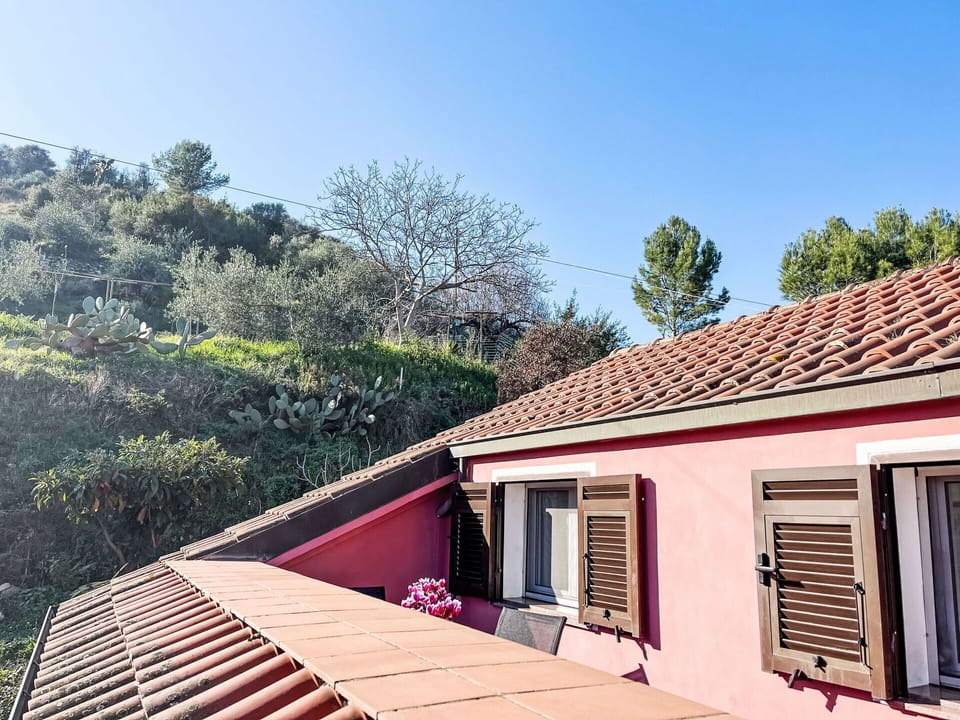 Wall, Roof, House, Home, Residential Area, Architecture, Pink, Slope, Cottage, Suburb