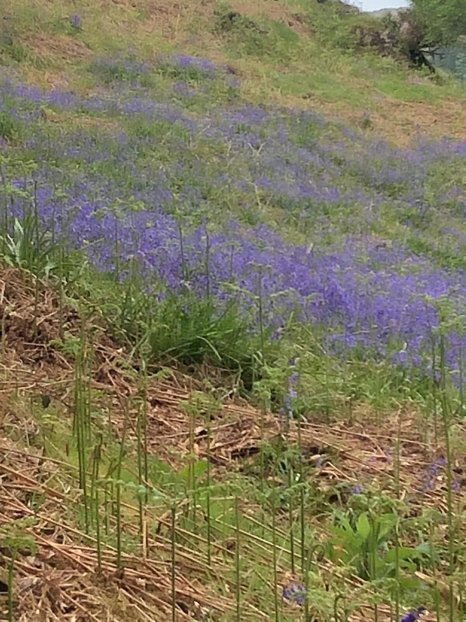 Nature