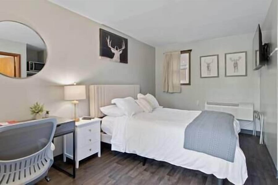 5f2aad86 cfbc 48bd 97fc 1e6609c243a2