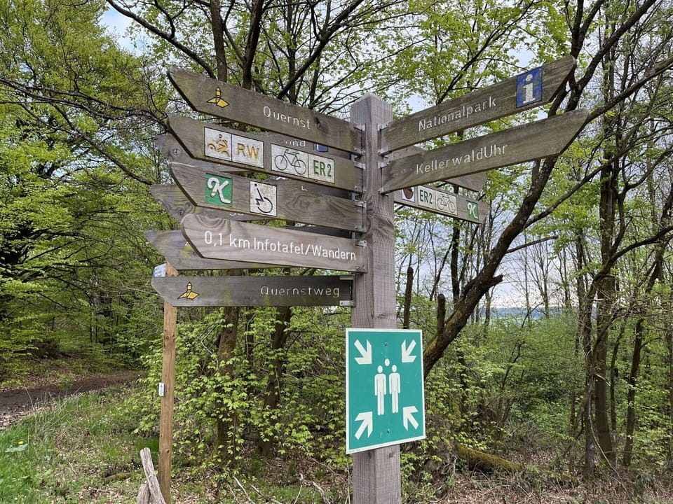 Plant, Tree, Natural Landscape, Wood, Grass, Font, Landscape, Trunk, Terrestrial Plant, Signage