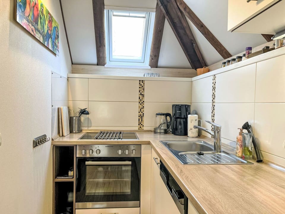 Kitchen, Kitchen Appliance, Countertop, Major Appliance, Flooring, Interior Design, Wood, Furniture, Cabinetry, Floor