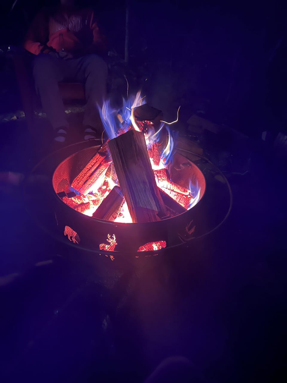 Fire pit #2 — leading down to dock