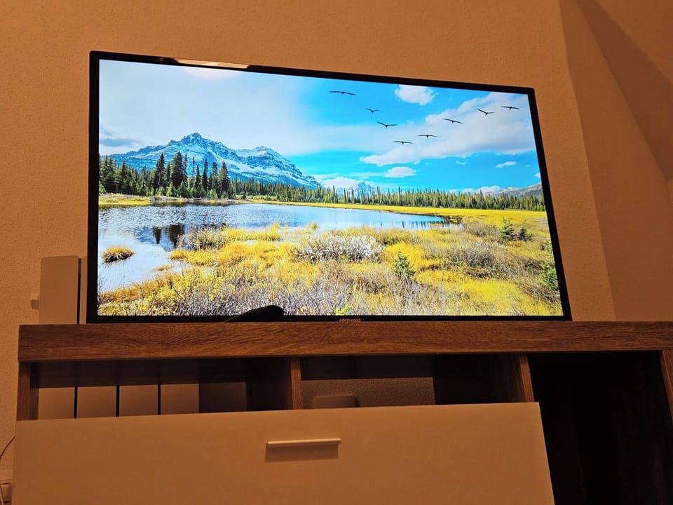 Television