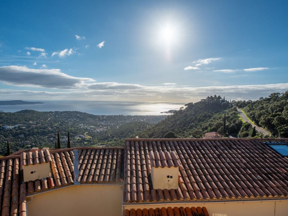 View