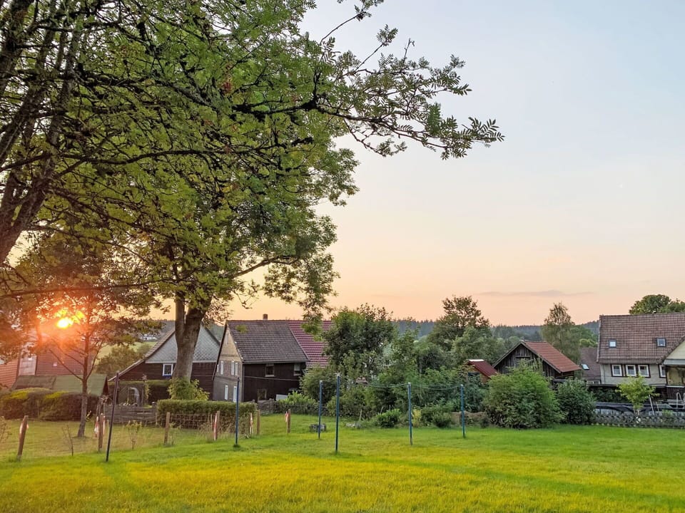 Tree, Grass, Nature, Leaf, Branch, House, Rural Area, Summer, Landscape, Grassland