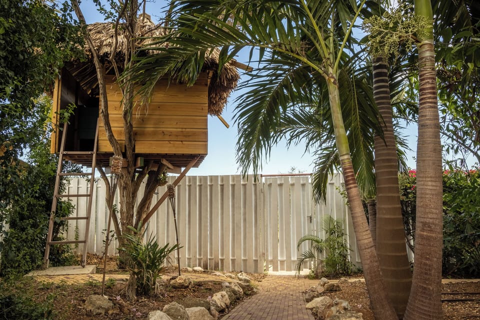 Tree House