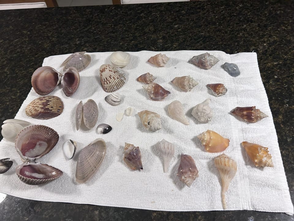 Miscellaneous