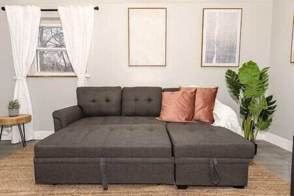Pull out couch