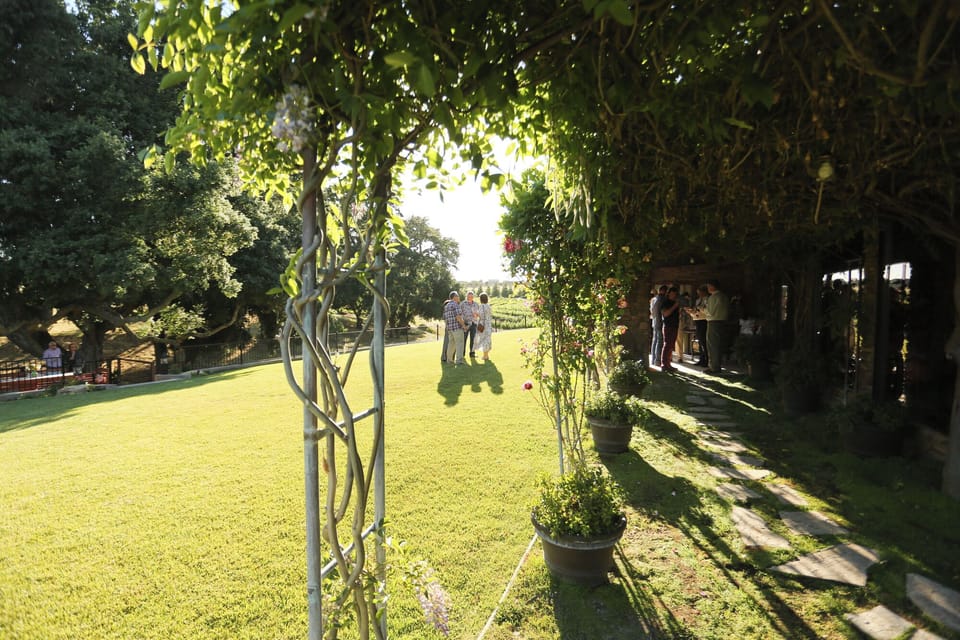 Briarwood Cottage Backyard