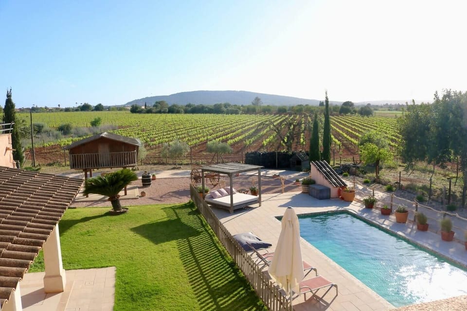 Bird's eye view,Garden,Swimming pool