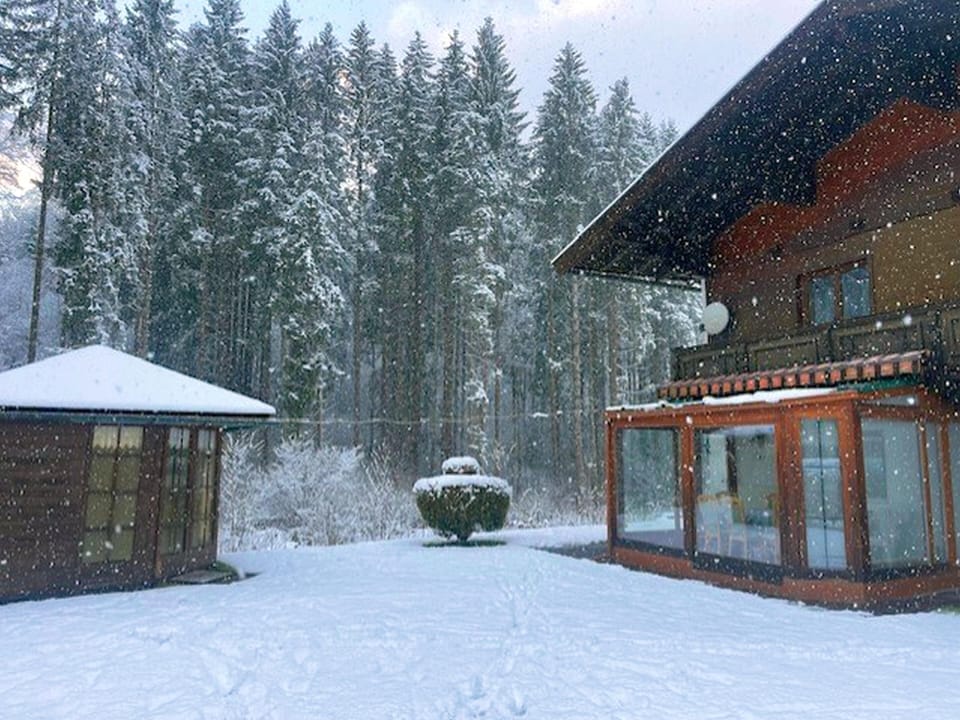 Garden [winter]