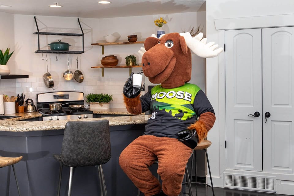 A quirky kitchen where even the moose mascot feels at home, complete with modern appliances, open shelving, and a breakfast bar perfect for your morning coffee.