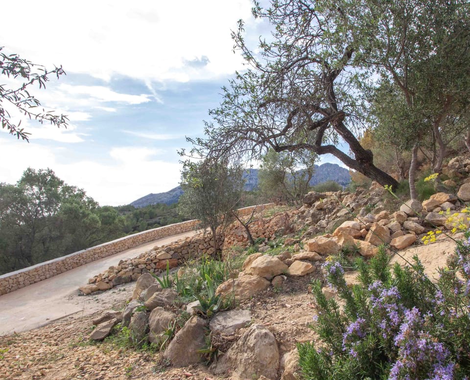 b0c713d4-22c1-4bfe-936d-176209ba70c0