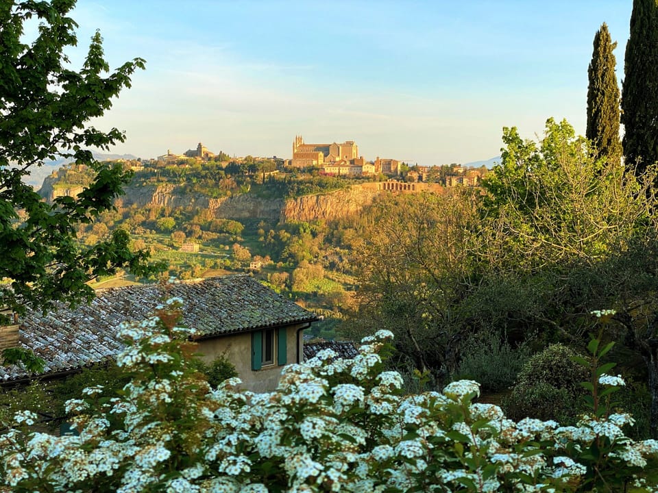View of Orvieto from the garden