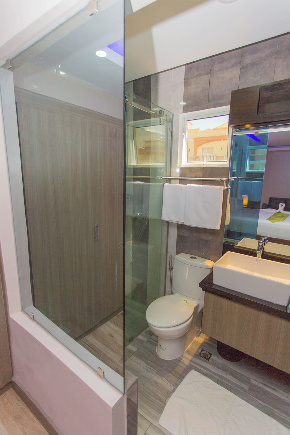 Shower, hair dryer, bidet, towels