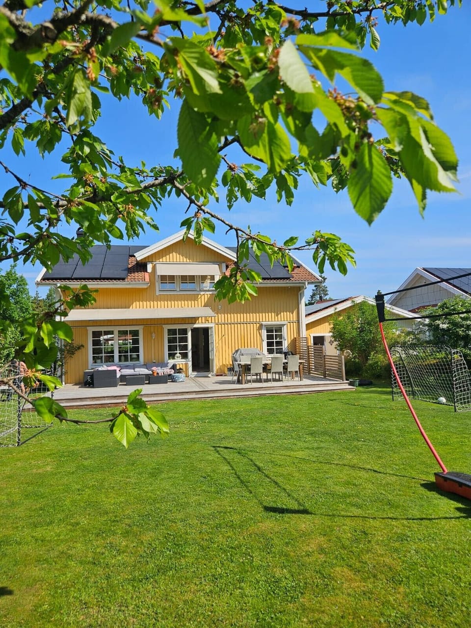 Large lawn
