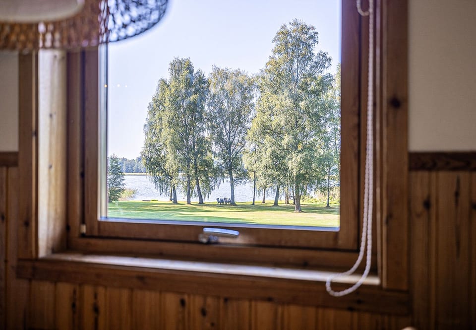 Picture taken from the kitchen window