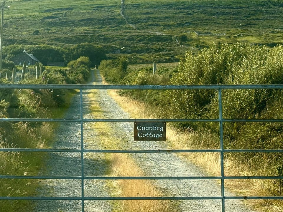 Driveway and property gate