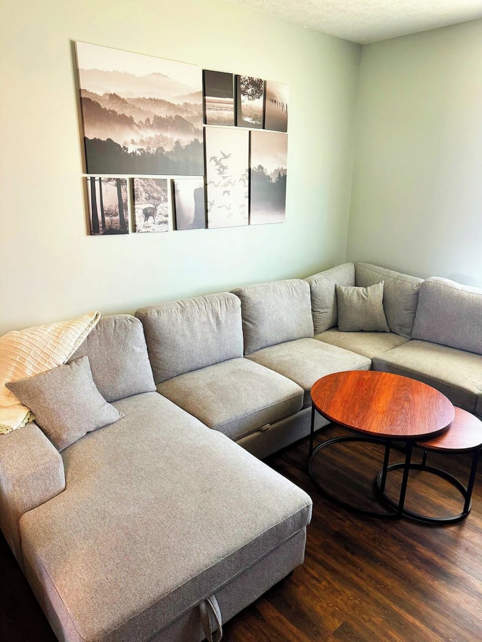 Large Sectional Couch (which also has a pullout bed for guests who need to sleep