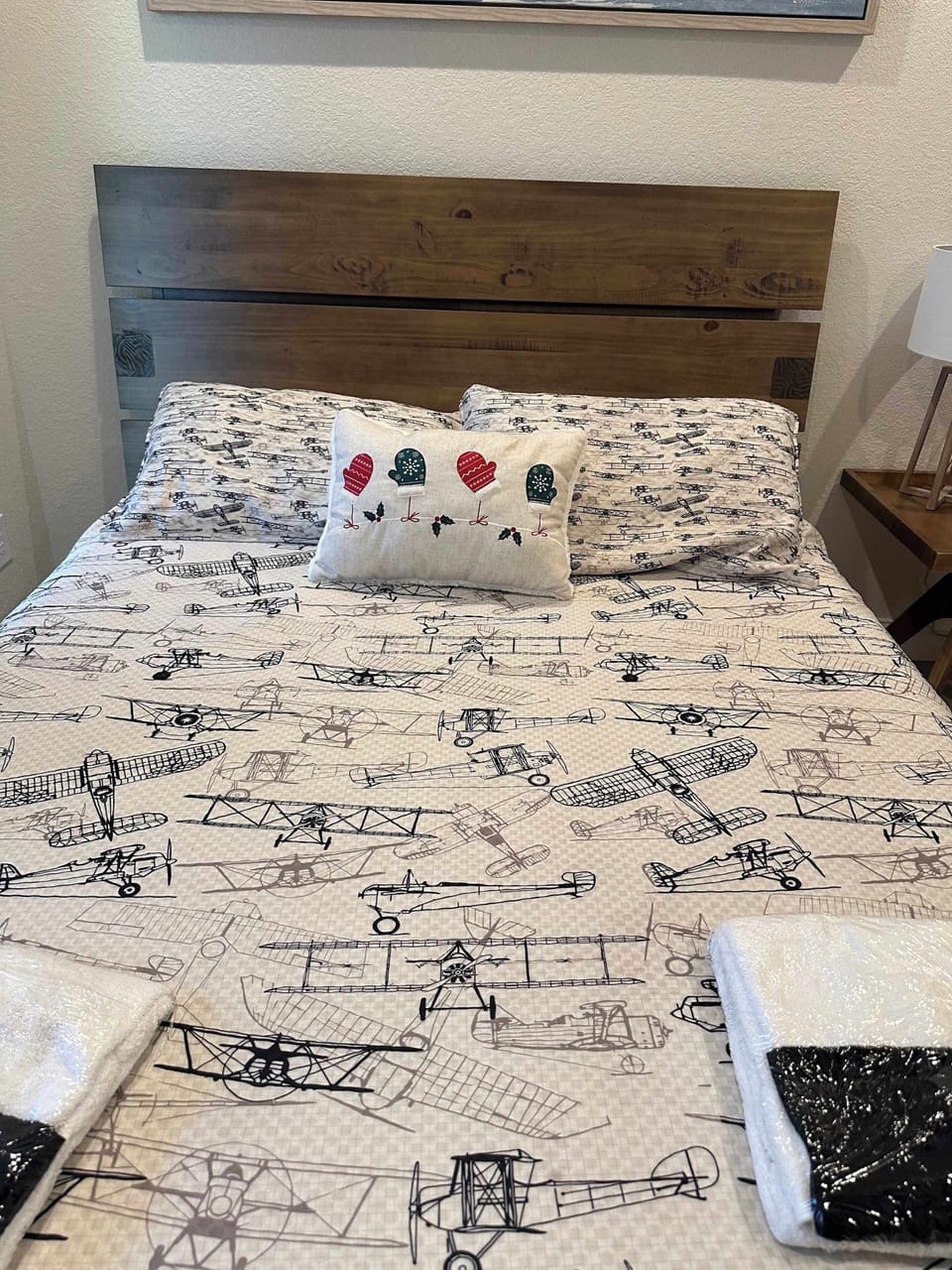 Lower Level Queen w/ Full Ensuite Bath (Deck Access, TV, and Ceiling Fan)