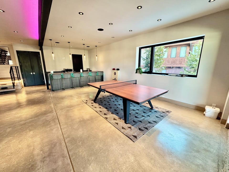 Ping Pong Table