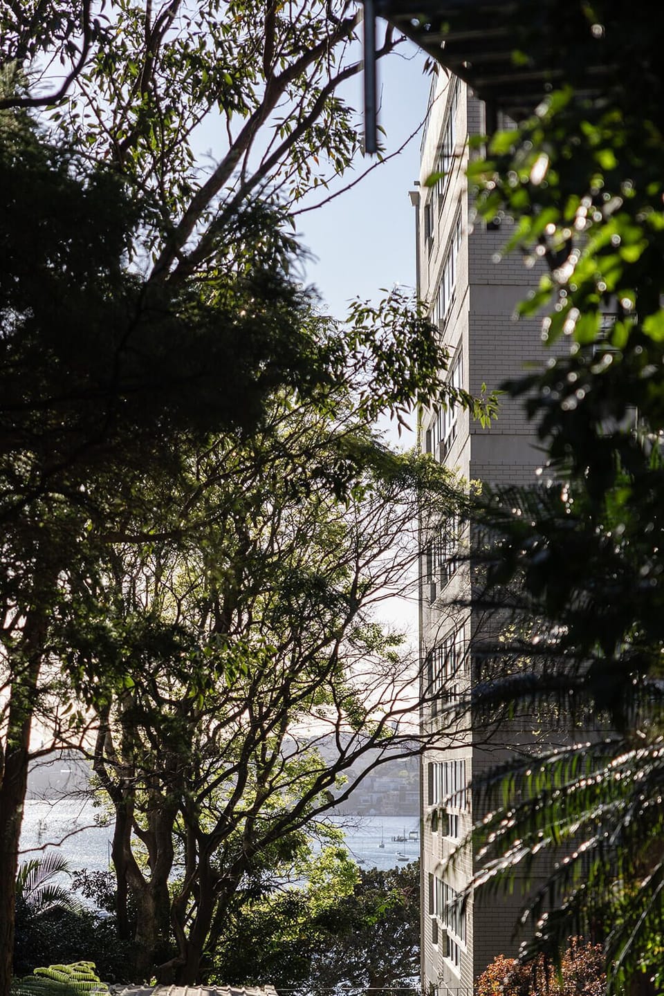 Elizabeth Bay is just around the corner and a great spot for a picnic 
