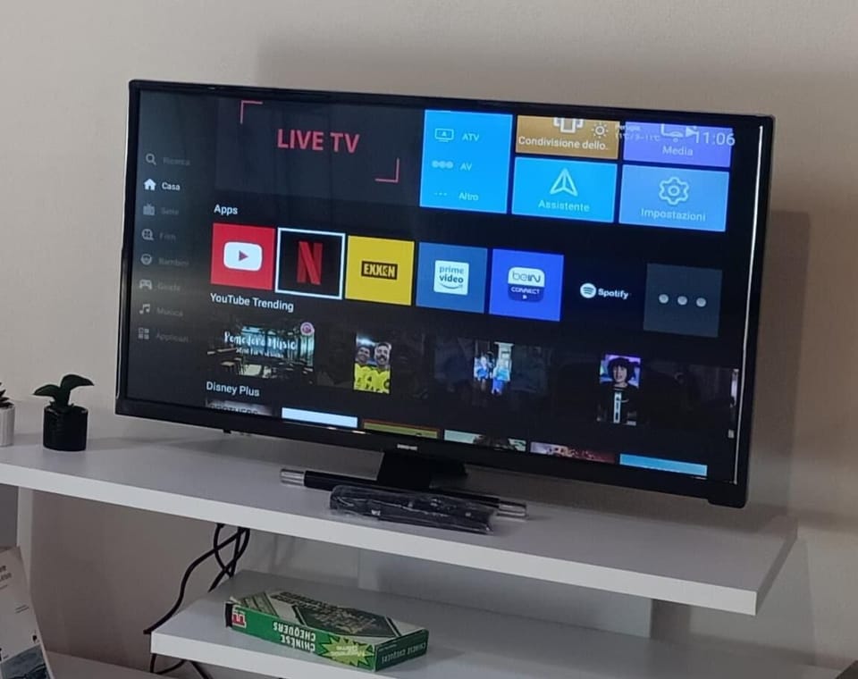 Television