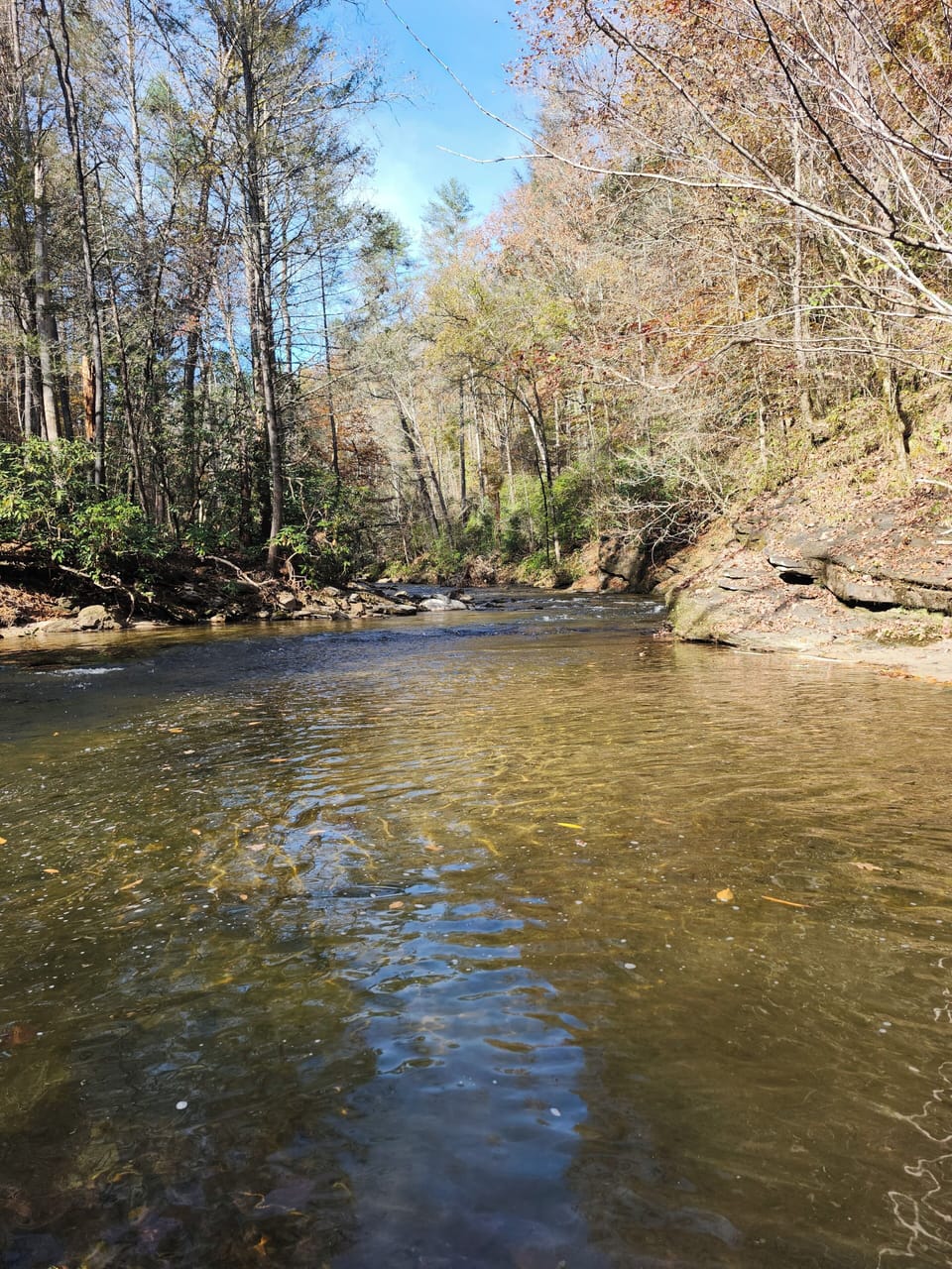 Nearby stocked trout fishing access on the Eastatoee river.
