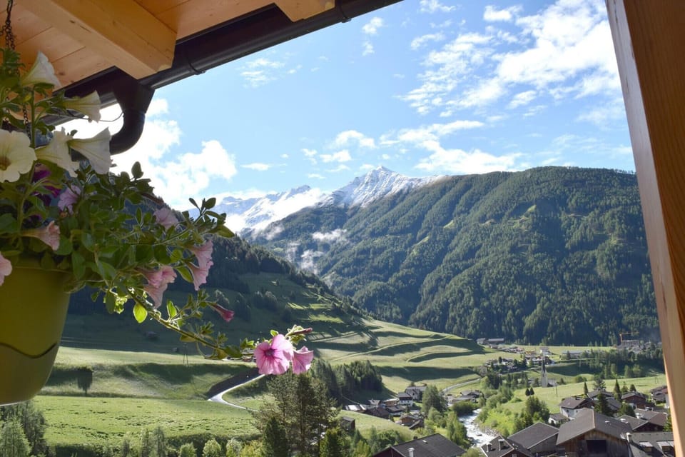 View from Holiday Home [summer]