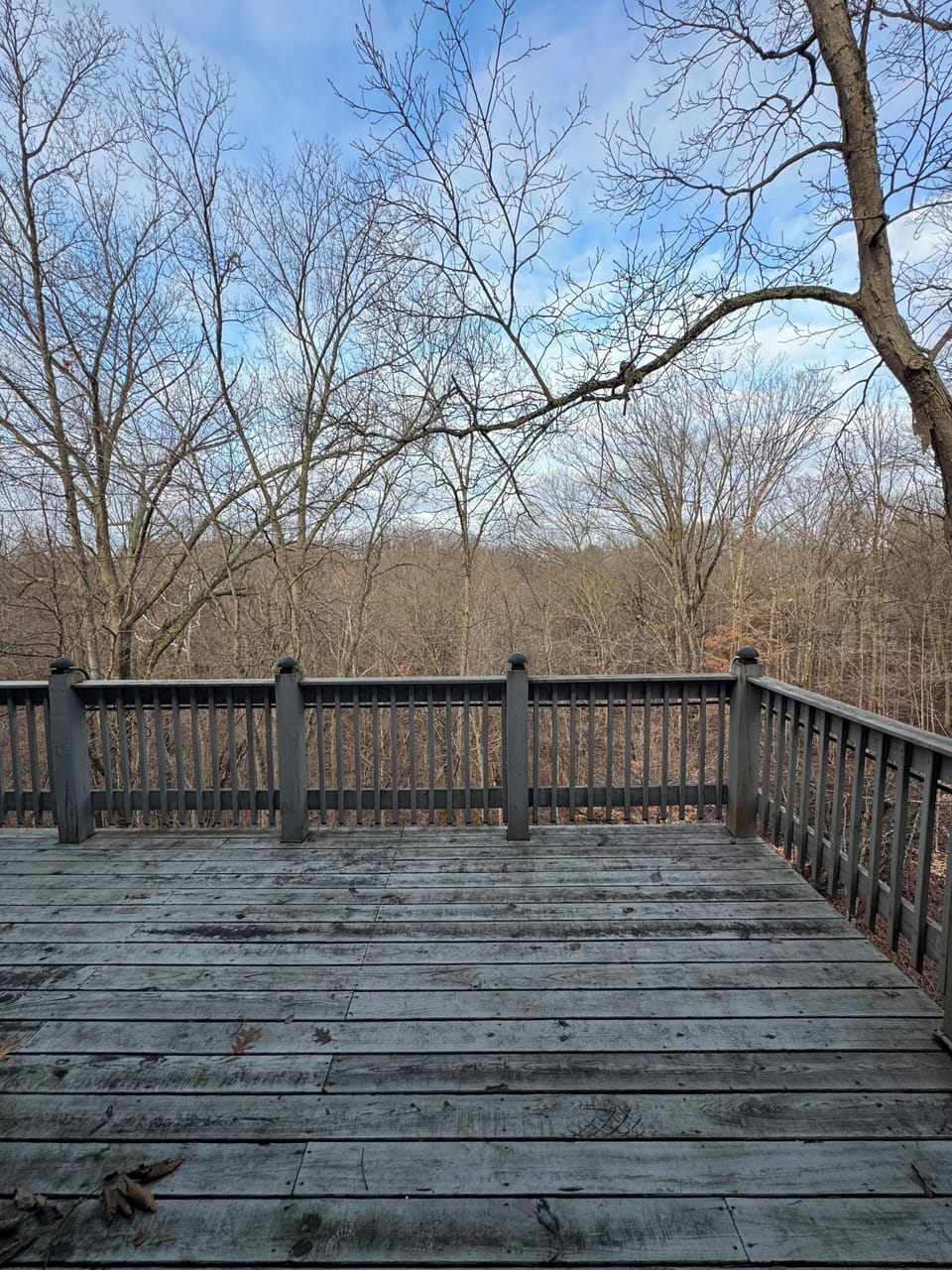 Large deck overlooking valley and trees