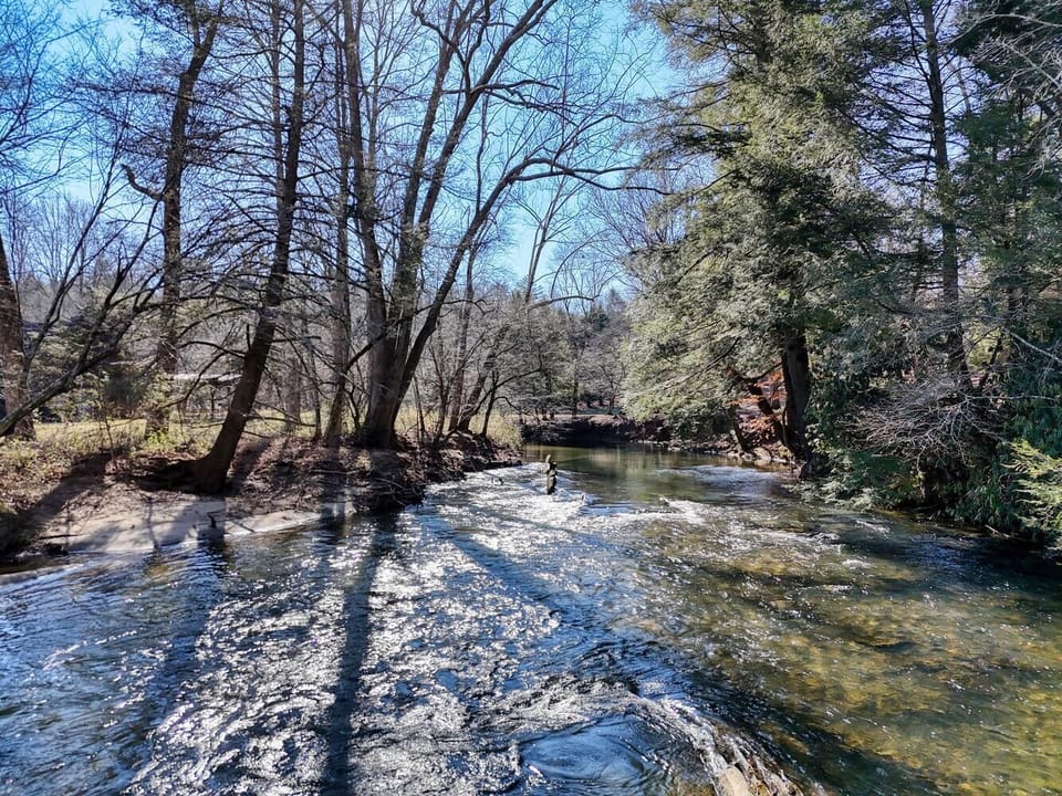 Time slows naturally here, guided by creek sounds and rustling trees.