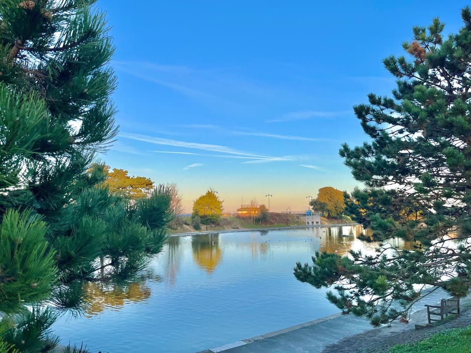 Simeon Sands Local Area