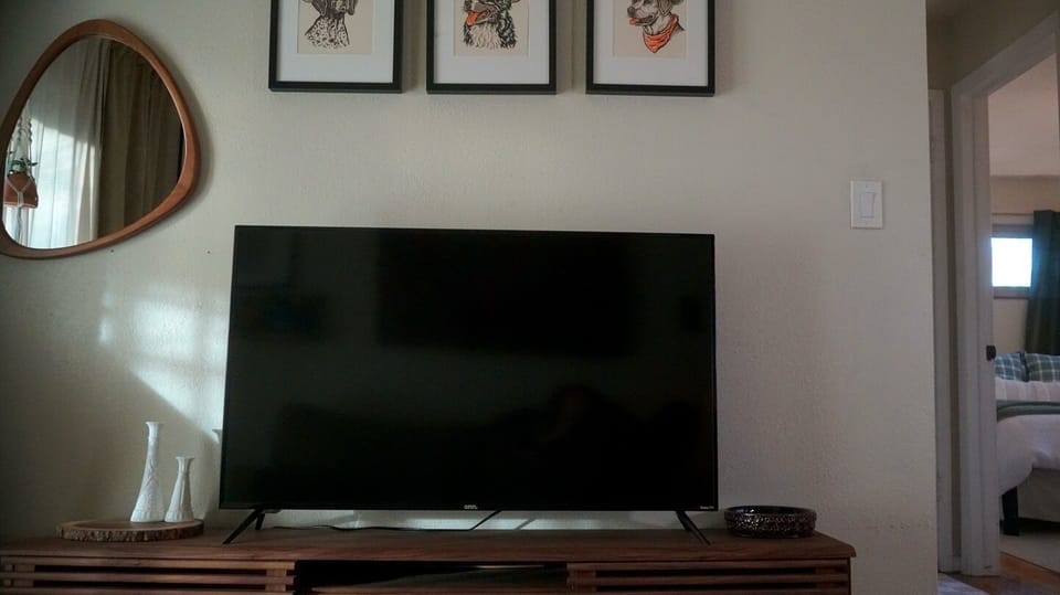 55” living room smart tv