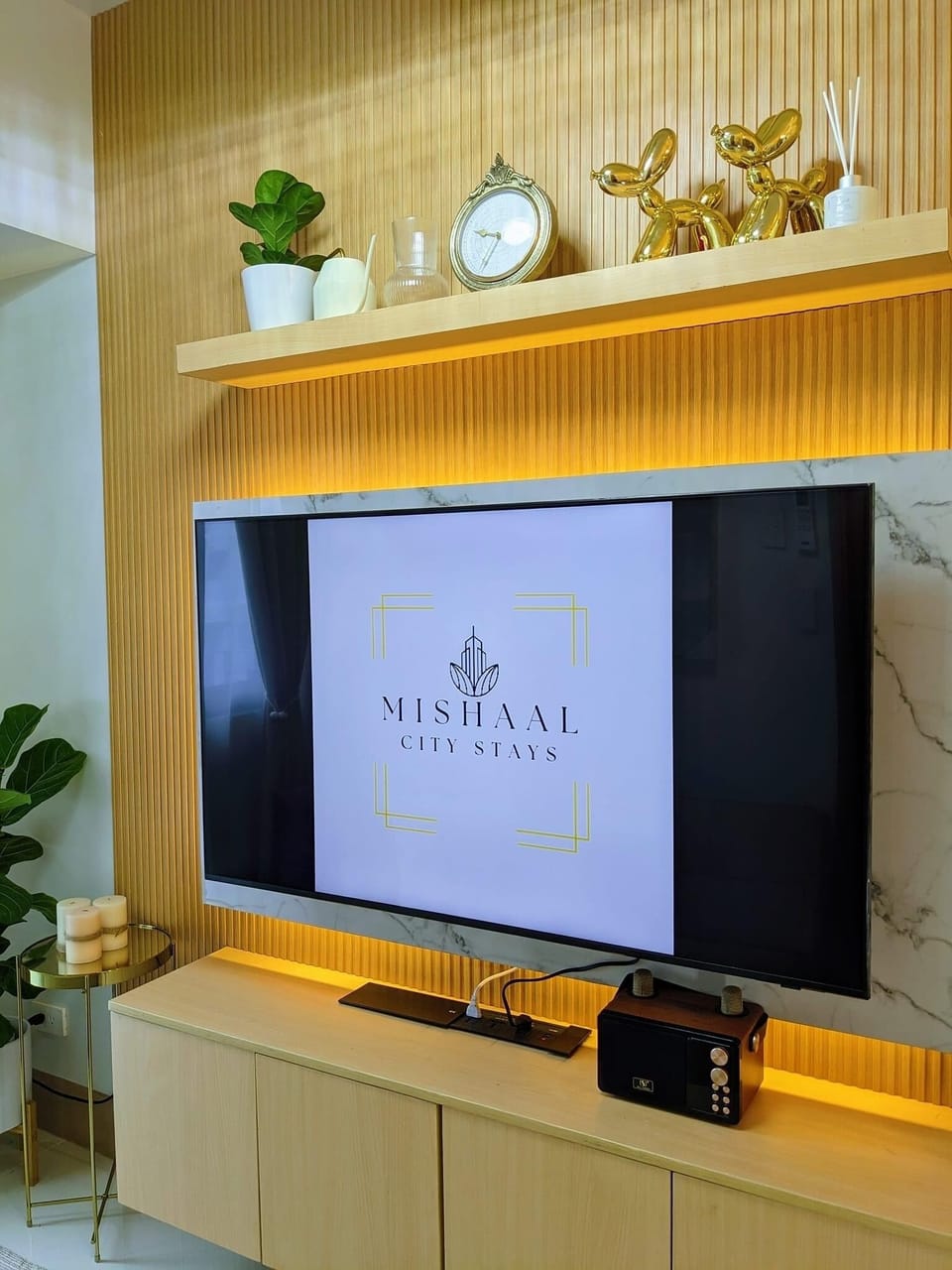 Television