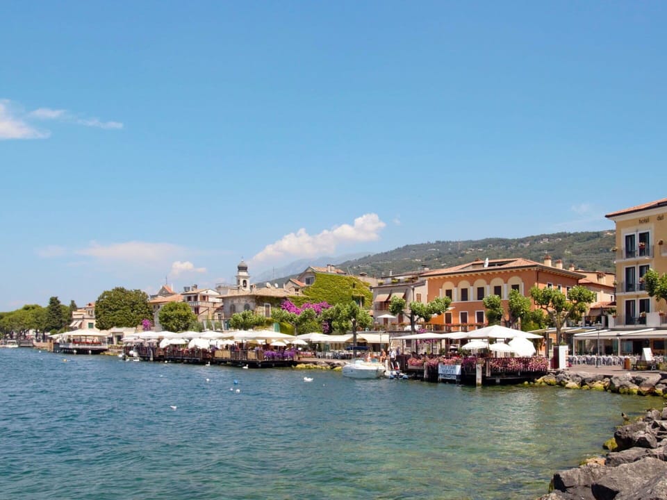 Plant, Sky, Plant Community, Natural Landscape, Branch, Tree, Grass, Shrub, Deciduous, Landscape