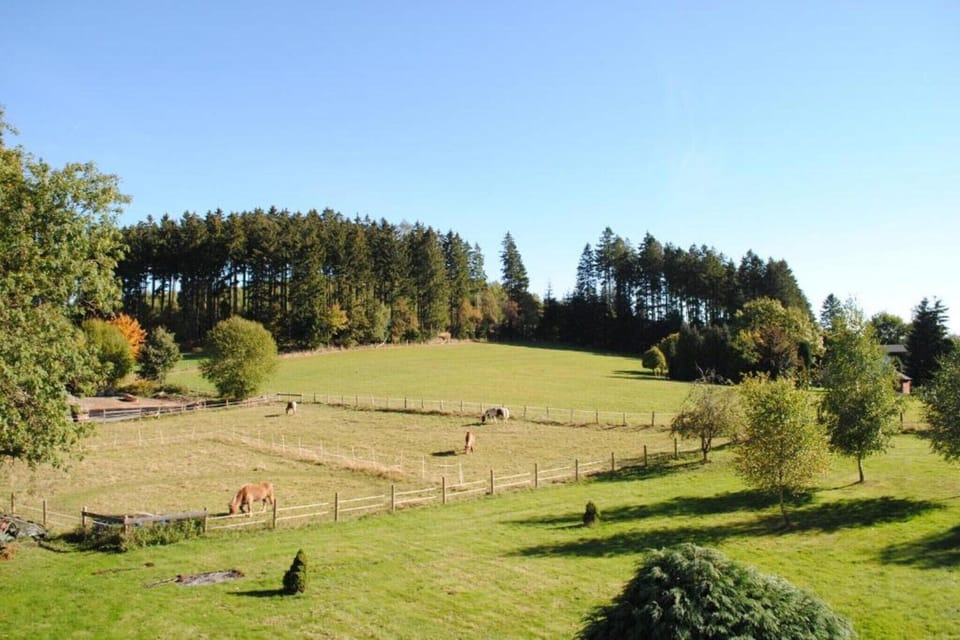 Surroundings [summer] (1-5 km)
