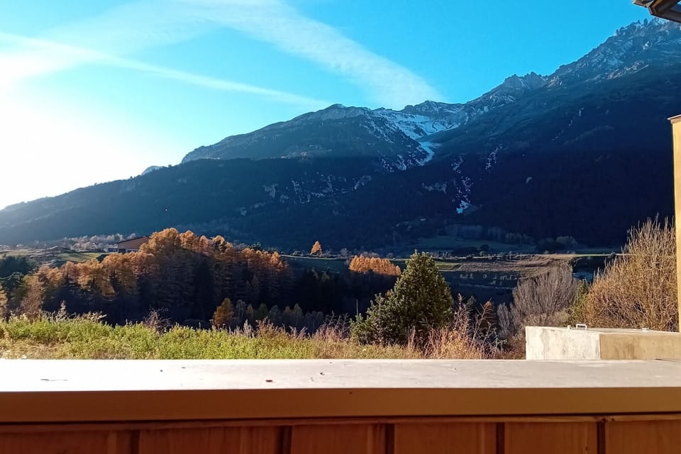 Patio / Balcony